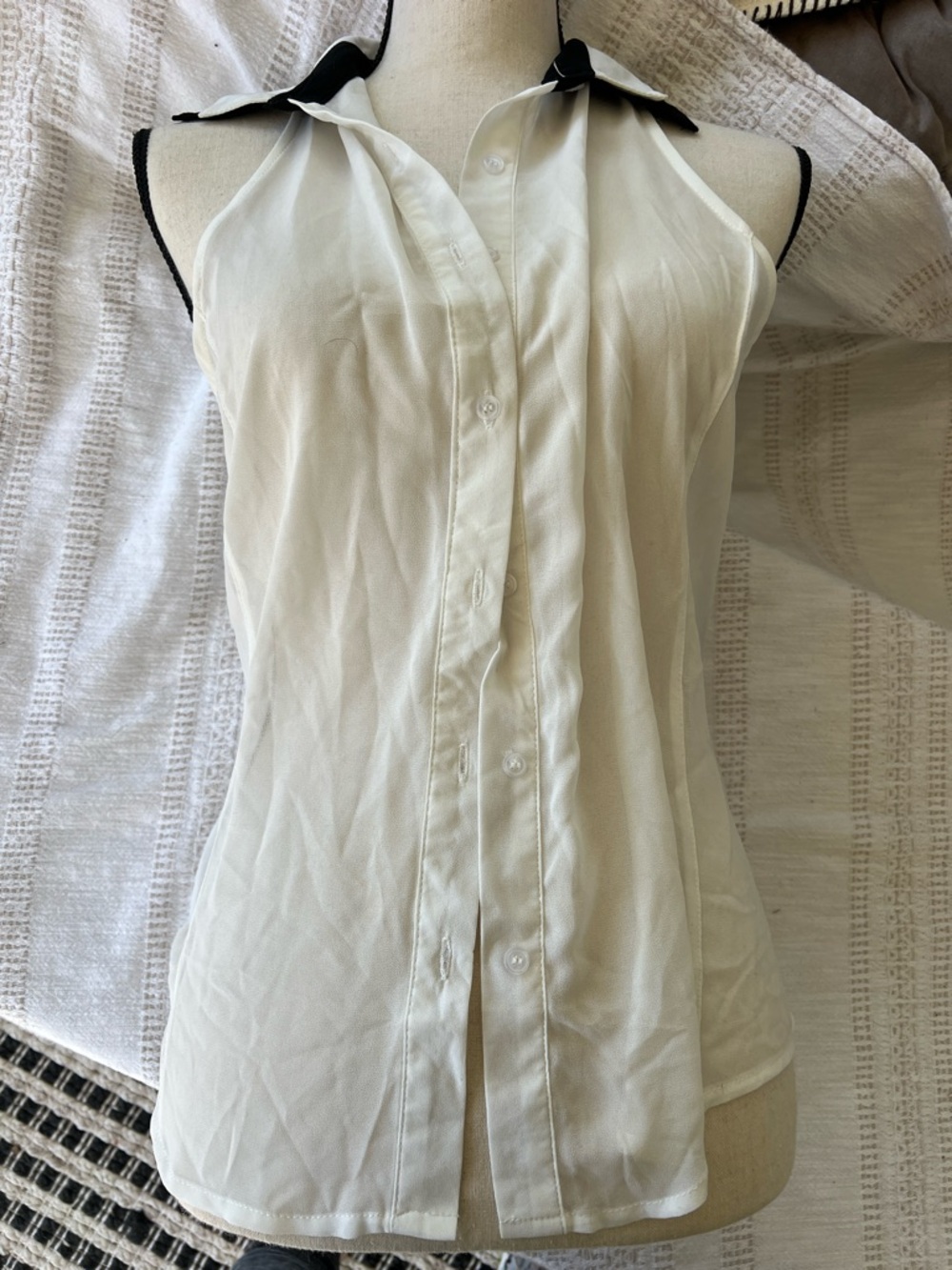 Sans Souci Sleeveless White Button-Front Sheer Top